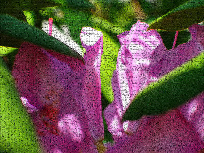 a5.JPG