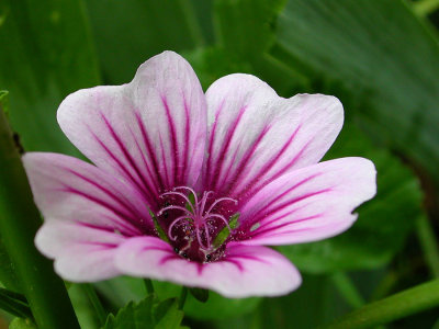 DSCN0949.jpg