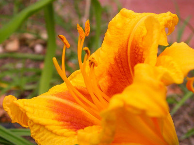 DSCN0969.jpg