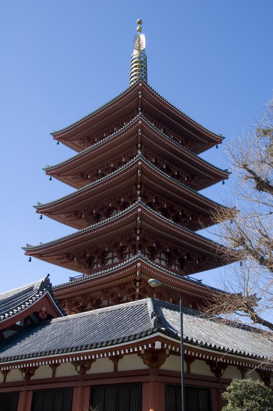 Pagoda at the Asakusa Shrine