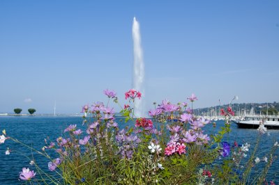 Geneva's famous Jet d'Eau