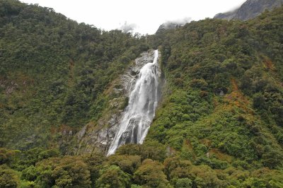 One of the permanent waterfalls along Milford Sound.