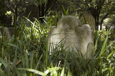 Old Maori grave in the Bolton Street  Memorial Park