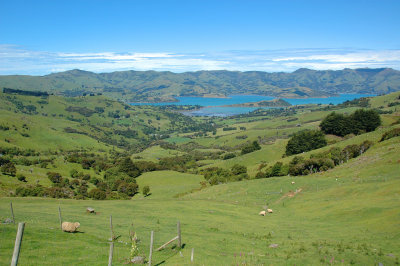Akaroa Harbor, as seen from the other side