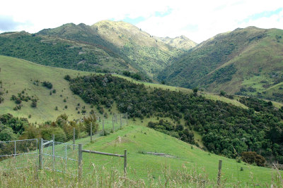 On the road from Christchurch to Nelson
