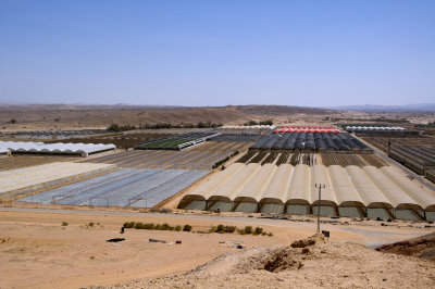 Acres of greenhouses at Ein Yahav