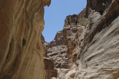 The Siq - Looking Up