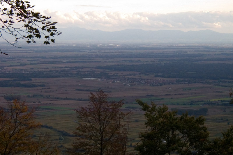 View from the castle grounds