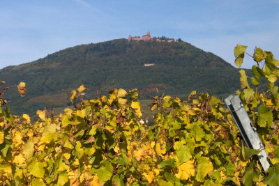 The castle from the road to Riquewihr