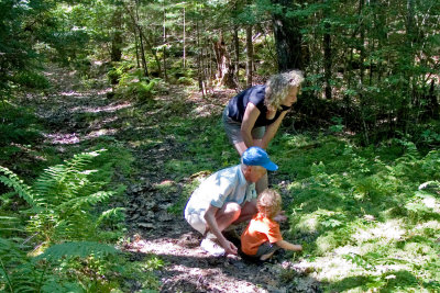 Bog walk---flora inspection