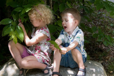 Cousins on a rock