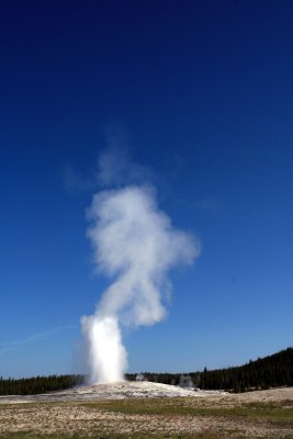 Old Faithful Sequential