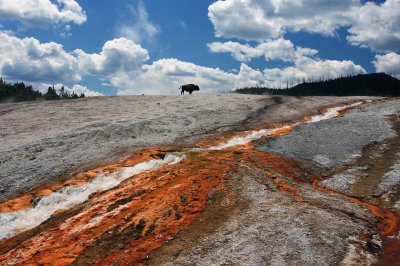 Yellowstone Thermals