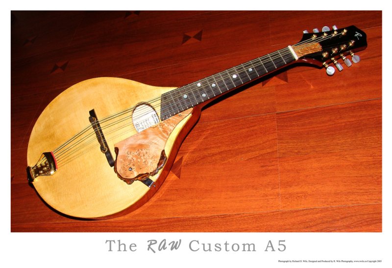 RAW Custom Mandolin