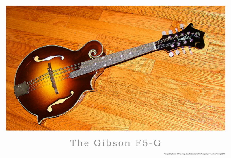 Gibson F5-G