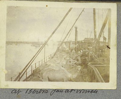 g6/97/201397/3/74310067.lsi38Wkq.jpg