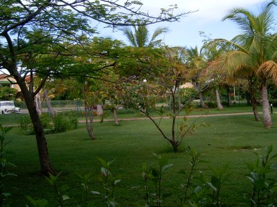 The resort from my bedroom window