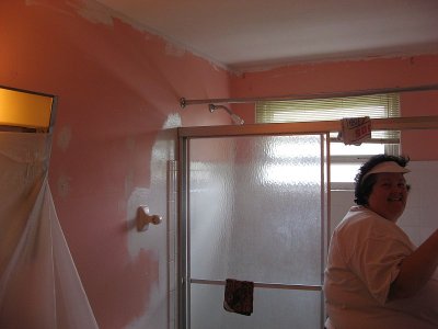 Changing the Pink Bathroom