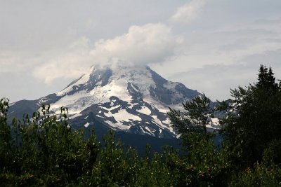 Mount Hood North Face