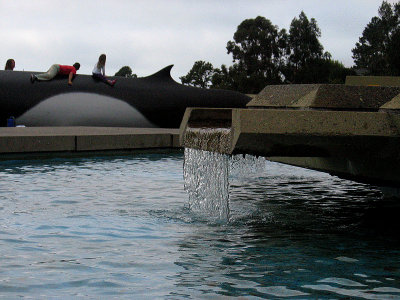 From fountain to whale
