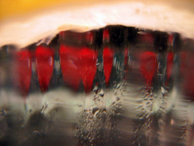 Dinnertime! - Abstract for photo class