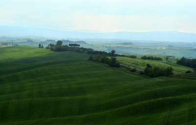 Tended rolling hills of Siena countryside  m0671