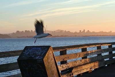 Time flies, says the bird, and so does he.