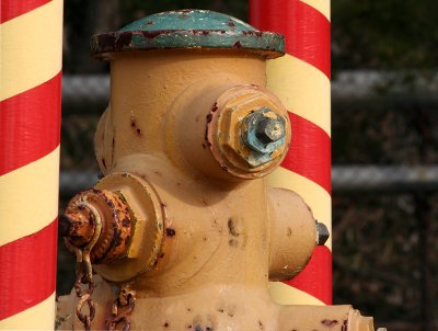 Like a barbershop hydrant