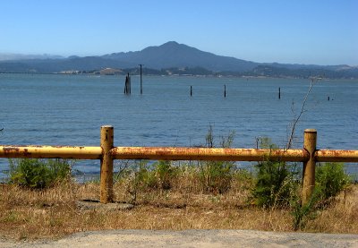 Mount Tamalpais