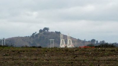 East Bay cranes from the bay trail.