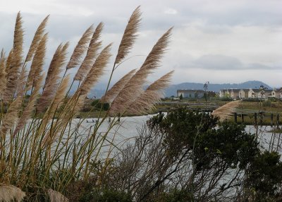 Pt Isabel - 1121