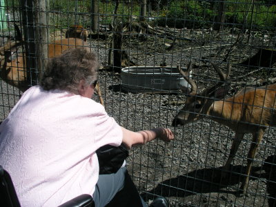Nanna Feeding Deer at T&D's