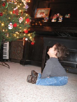 Noah looking at his first Christmas Tree Lighting
