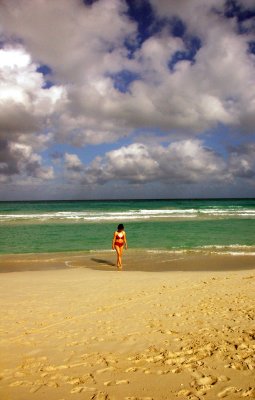 DSC_0625.jpg