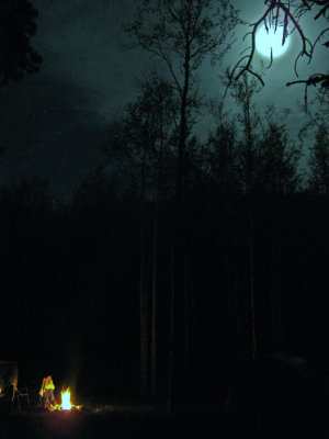 Moonlight camping