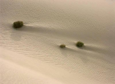 Sand dune . . . . . . .  by Paul Dudley