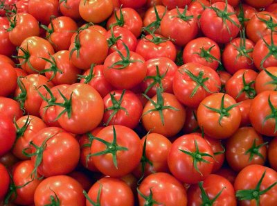 The best tomatoes . . . . . . . by Paul Dudley