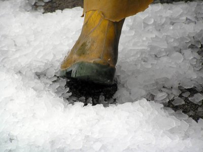 Icy *