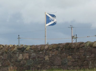 Scotland the Breezy