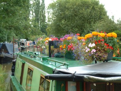 Roof Gardens on the canal