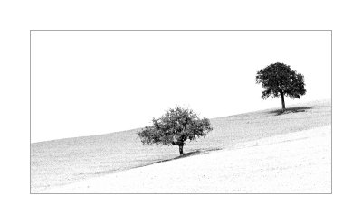 g6/97/383697/3/42156215.BJuGZVNd.jpg