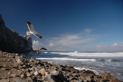 December 18- Morro Bay Breakers