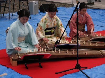 Koto performance at Tagata-jinja