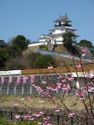 New blossoms and Kakegawa-jō