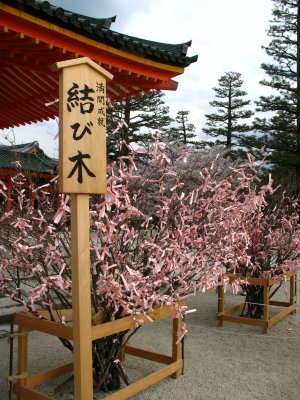 Sakura omikuji