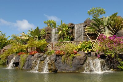 Hawaii Trip/Polynesian Cultural Center