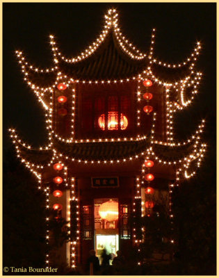 Chinese Lanterns 2006