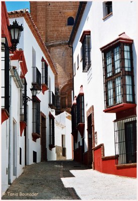 Typical cobblestone street