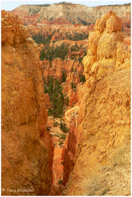 The red dot on the trail is the hiker