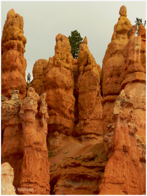 Lady between two rocks on the rim